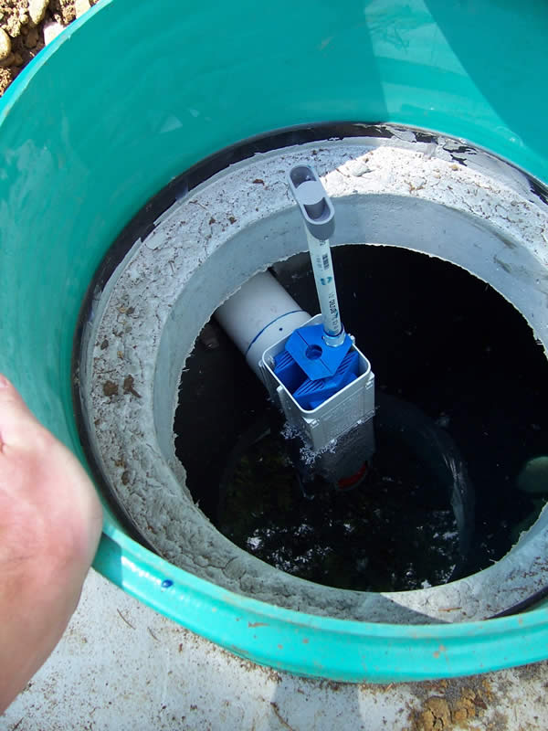 An outlet filter with handle installed in a standard septic tank.